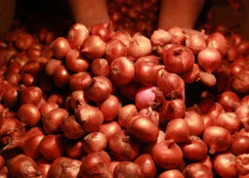 नवरात्रि के बाद ही एक हफ्ते में  प्याज के दाम में रॉकेट की रफ्तार जैसी वृद्धि हुई