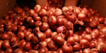 नवरात्रि के बाद ही एक हफ्ते में  प्याज के दाम में रॉकेट की रफ्तार जैसी वृद्धि हुई